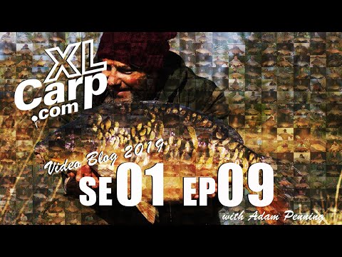 XL Carp Video