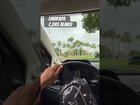 EMBRAPA CRUZ DAS ALMAS-BA