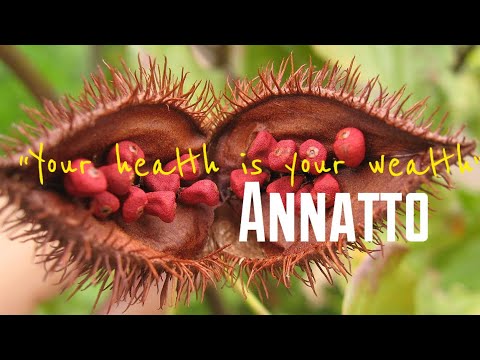 , title : 'Amazing Health Benefits of Annatto Seeds | Achiote'