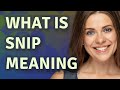 Snip Meaning Of Snip