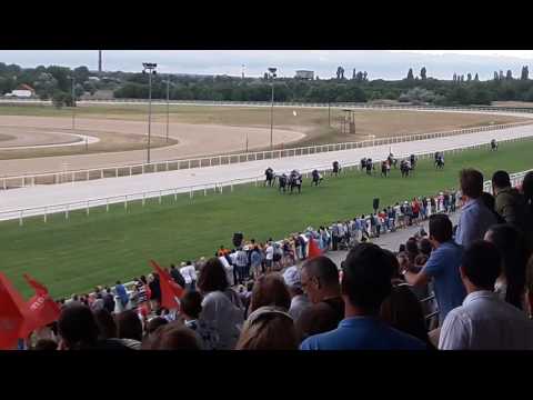 94. Magyar Derby (galopp) befutò a lelàtóròl