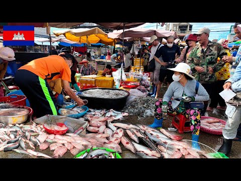 WOW! Cambodia Morning Fish Market  So Much Fresh Seafood