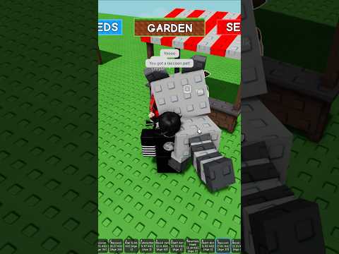 Pick a Number & Get a Free Raccoon Pet in Grow A Garden! #roblox #shorts