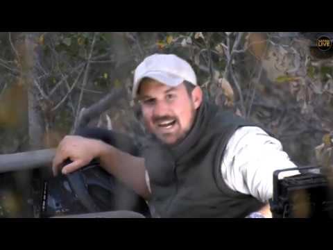 July 14- 2018  HOSANA IS BACK