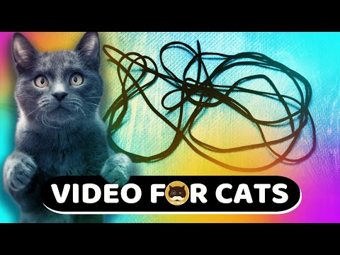 CAT GAMES - Paracord String. Video for Cats to Watch | CAT TV | 1 Hour.