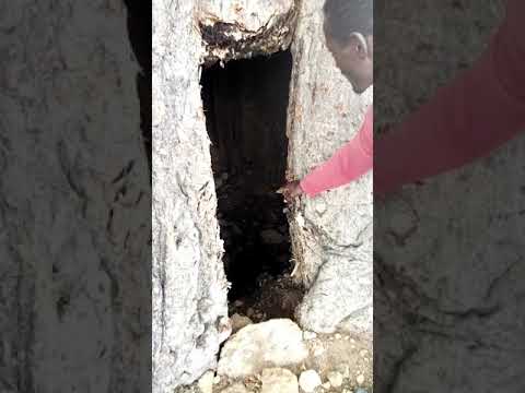 Nyanda Clement MP4 & MP3 - Barretoned