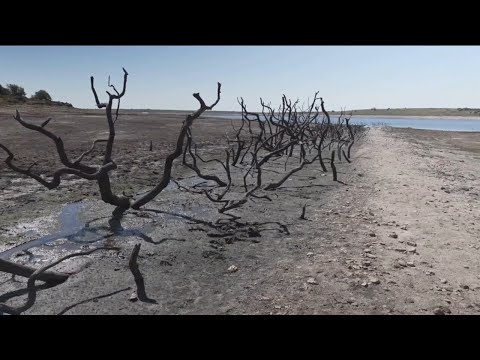 Drought declared across parts of UK