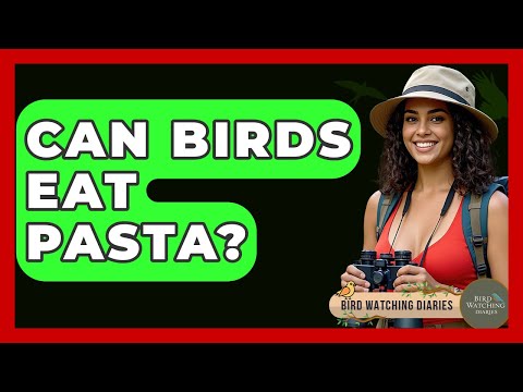 Can Birds Eat Pasta? - Bird Watching Diaries