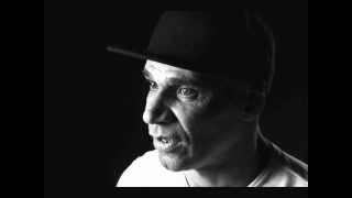 Goldie - DragonFly