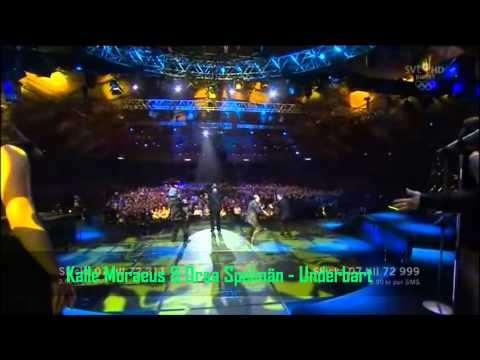 Melodifestivalen 2010 - Recap