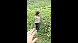 Download lagu Video Pendek Story WA || Tasya Rosmala - Perlahan || mp3 Download lagu Video Pendek Story WA || Tasya Rosmala - Perlahan || mp3