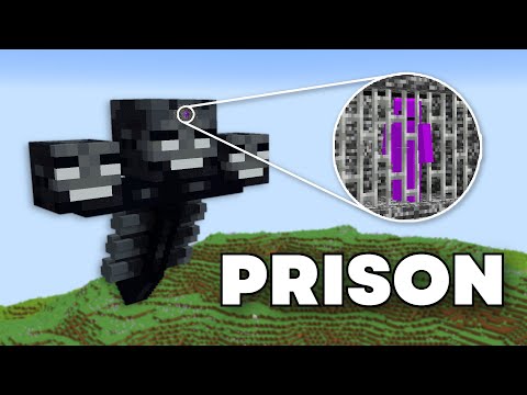 Can I Escape This WITHER Minecraft Prison?