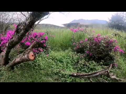 Parque Cañón del Juanambú, Buesaco - Nariño