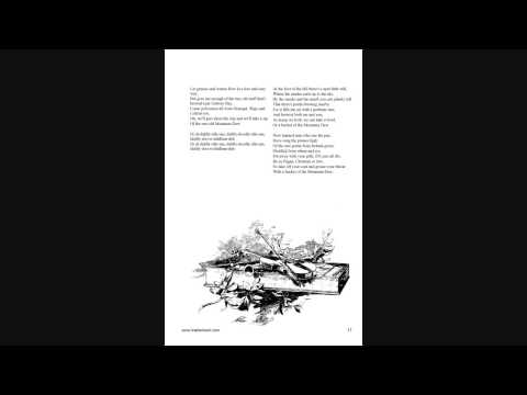 05 Follow Me Up To Carlow - 30 Irish Folk Songs for Tin Whistle