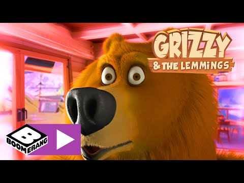 Grizzy en de Lemmings | Gemaskerde wasbeer | Cartoonito