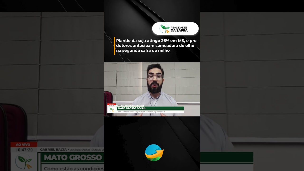 Plantio da soja atinge 26% em MS, e produtores antecipam semeadura de olho na segunda safra de milho