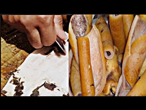 , title : 'Cara Mudah Dan Cepat Bersihkan Kulit Sapi Untuk Dibuat Kikil- Pro MN Kuliner'