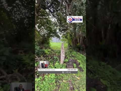 ✨ Lote en San Rafael de Heredia 🍃 1.125 m² con clima fresco, vistas y paz total 🏡 #Heredia #Shorts