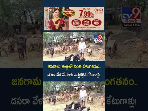 జనగామ జిల్లాలో వింత దొంగతనం.. దసరా వేళ మేకలను ఎత్తుకెళ్లిన కేటుగాళ్లు! - TV9