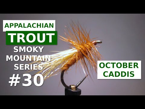 October Caddis - Fly Tying Appalachian/Great Smoky Mountain Trout Patterns