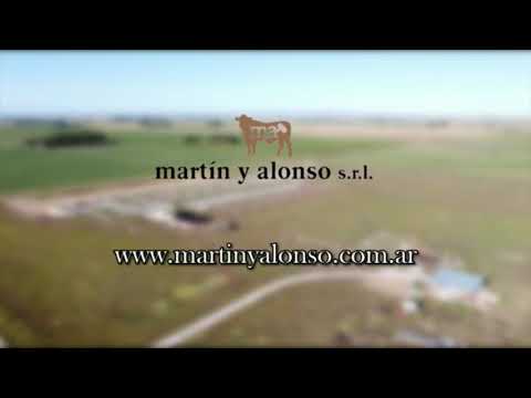 Martín y Alonso S.R.L. - Predio Ferial Coronel Suarez