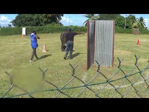 NOVAK et Rodrigue ech3