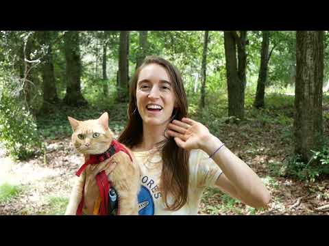 Why You Should Walk Your Cat