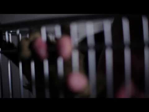 Red Zebra - No Kitchen In The House (official videoclip)