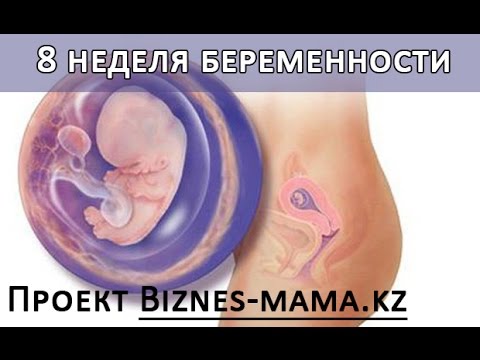 Замена сустава коленного при какой степени Как быстро снизить давление при шейным остеохондрозе