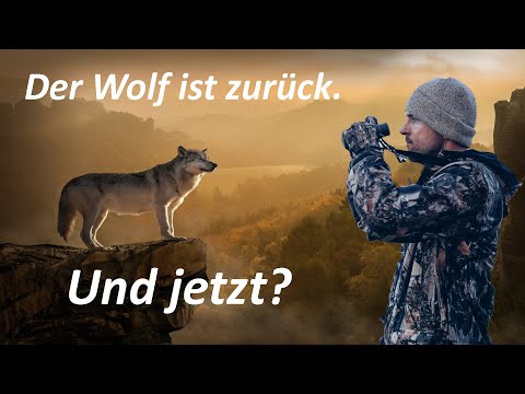 Der Wolf ist zurück. Die wichtigsten Fragen zum Wolf geklärt.