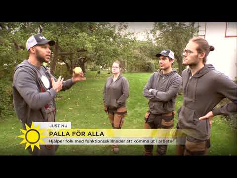 Tilde pallar äpplen med initiativet som hjälper folk med funktionsskillnader komma ut i arbete: &quo