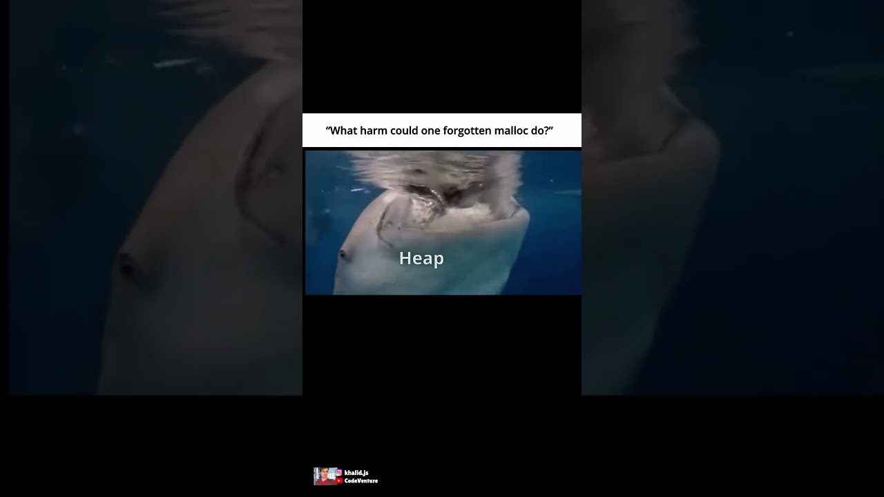 memory leak #coding #programming #javascript #python