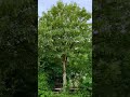 2022 In 1 Minute 365 Days Timelapse Shorts 2022