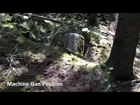 Trenches of the 18th Volksgrenadier Division near Kronenburg (1945)