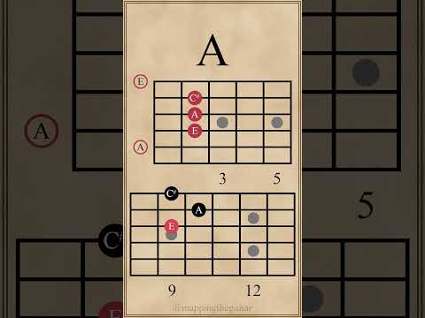 Triad Chord Progression in D Major | D-A-G-D #guitarlesson