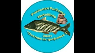 Карась золотой в реальной рыбалке