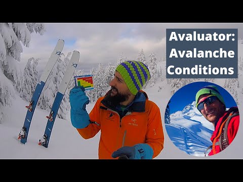 Avaluator: Avalanche Conditions