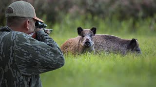Hunting Wild Boar with a 22Mag! {Catch Clean Cook} Destructive Hogs make Tasty Treats!!!