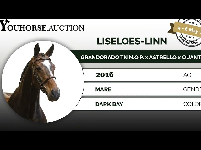 Liseloes-Linn showvideo indoor