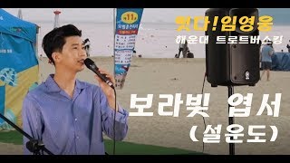 ◆ 임영웅 트로트 버스킹 ◆ 부산 해운대 트로트버스킹 - 보라빛엽서 (설운도)