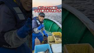 サバとアジを餌にアナゴ筒入れてみた！#漁師 #女漁師 　#GAL漁師