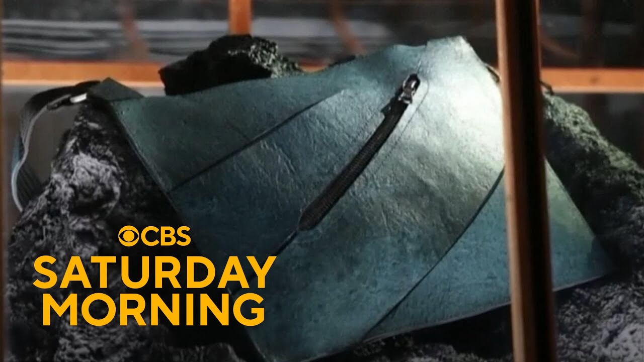 Scientists unveil leather handbag derived from dinosaur DNA