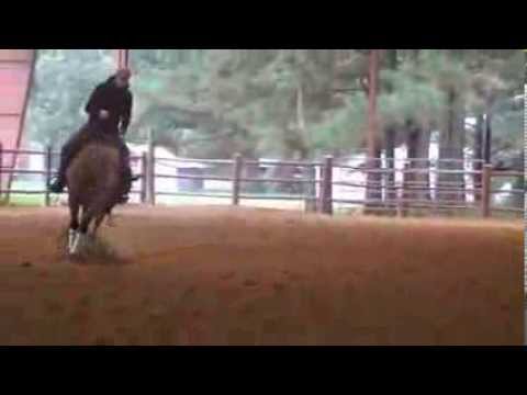 Cliphor.se - Wrangler Rockstar - Josiane Gauthier Reining