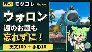 【FF14】モグコレ初心者ガイド｜ウォロンの入手条件と通常ジョブの周回比較【天文Part1】