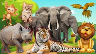 Cute Little Animals | Cow, Cat, Dog, Elephant, Horse, Owl, Rooster... | Interesting animal sounds!