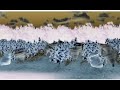 Wind Monkeys G Major