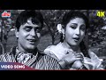 धड़कने लगे दिल के Song HD Mahendra Kapoor Asha Bhosle Rajendra Kumar Mal