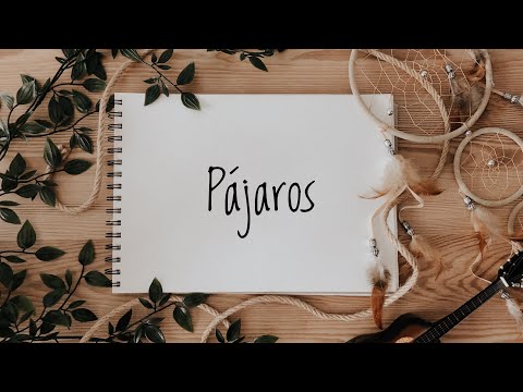 Pájaros video