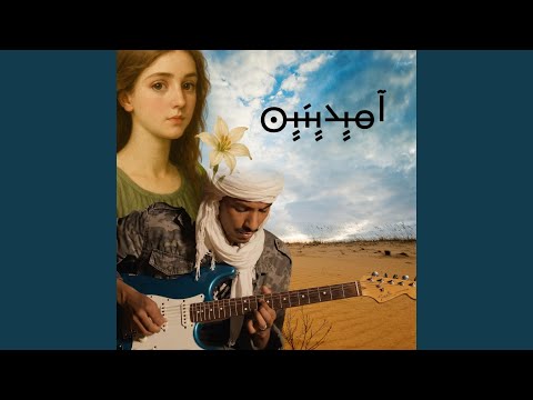 آميدينين تارقي و عربي