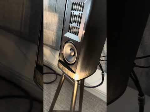 Piega COAX 411 #loudspeakers #loudspeaker #highendaudio #audiophile #hifi